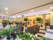 Europe Hotel - Олимпийска ривиера, Гърция