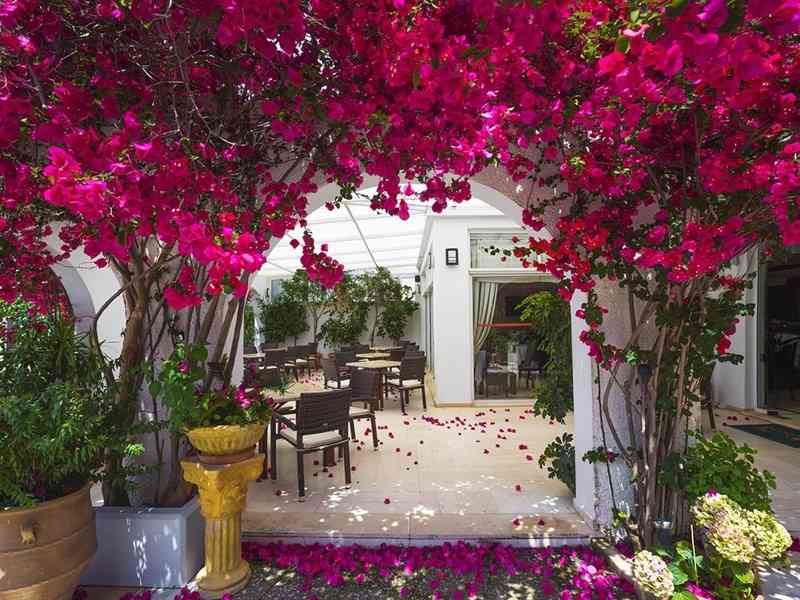 Kyparissia Beach Hotel, Месения