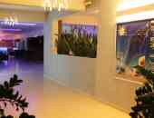 Zoes Hotel - о. Родос, Гърция