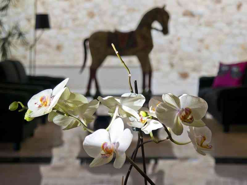 Asterion Luxury Beach Hotel And Suites, Ханя