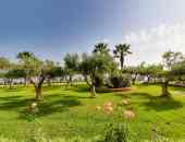Club Calamos Beach Hotel - Атика, Гърция