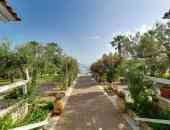 Club Calamos Beach Hotel - Атика, Гърция