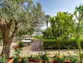 Club Calamos Beach Hotel - Атика, Гърция