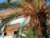Faliraki Rose Hotel - о. Родос, Гърция