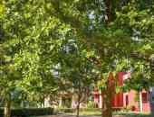 Grecotel LUXME Costa Botanica - о. Корфу, Гърция