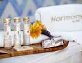 Harmony Boutique Hotel - о. Миконос, Гърция