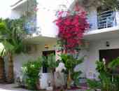 Oasis Hotel & Bungalows Rhodes - о. Родос, Гърция