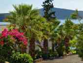 Selena Village Hotel - о. Крит, Ласити, Гърция