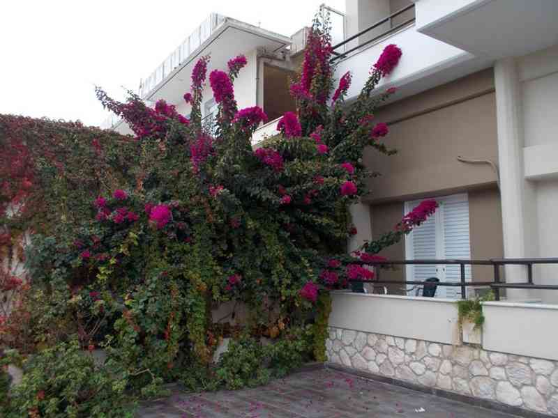 Tokalis Boutique Hotel & Spa, Волос