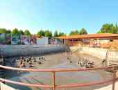 Yannis Resort Hotel - Кавала, Гърция