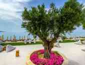 Ammoa Luxury Hotel & Spa Resort - Халкидики, Ситония, Гърция