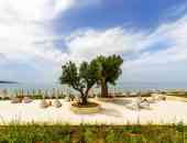 Ammoa Luxury Hotel & Spa Resort - Халкидики, Ситония, Гърция