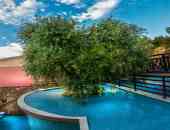 Kallisti Apart Hotel Thassos - о. Тасос, Гърция