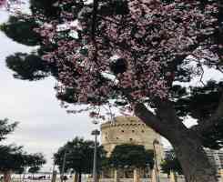 Солун - Метеора - Природни чудеса