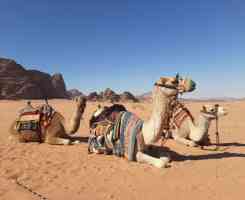 Почивка в Йордания, Червено море, Тала Бей - 7 нощувки - с включено посещение на Петра и Вади Рум - с директен полет от София!