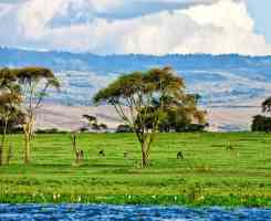 Екскурзия в КЕНИЯ - класическо сафари и почивка на Диани бийч