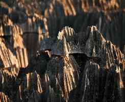 Екскурзия в МАДАГАСКАР - Уникалните пейзажи и дивата природа на Мадагаскар!