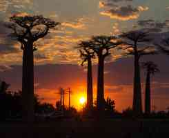 Екскурзия в МАДАГАСКАР - Уникалните пейзажи и дивата природа на Мадагаскар!