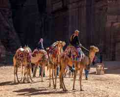 Съкровищата на ЙОРДАНИЯ - 5 нощувки - 1 в Петра, 1 в пустинята Вади Рум, 1 в Акаба и 2 в столицата Аман! Обиколна програма с ДИРЕКТЕН полет от Софи...