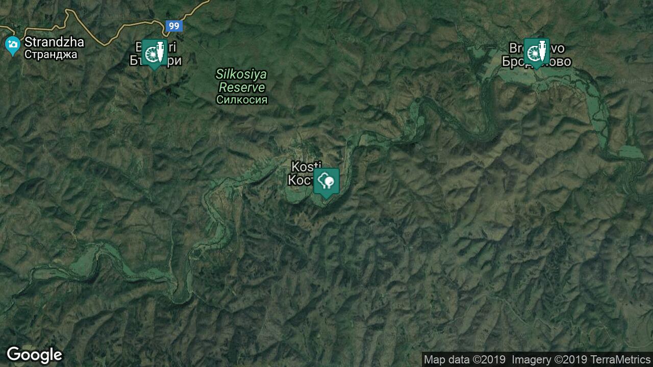 Google Map