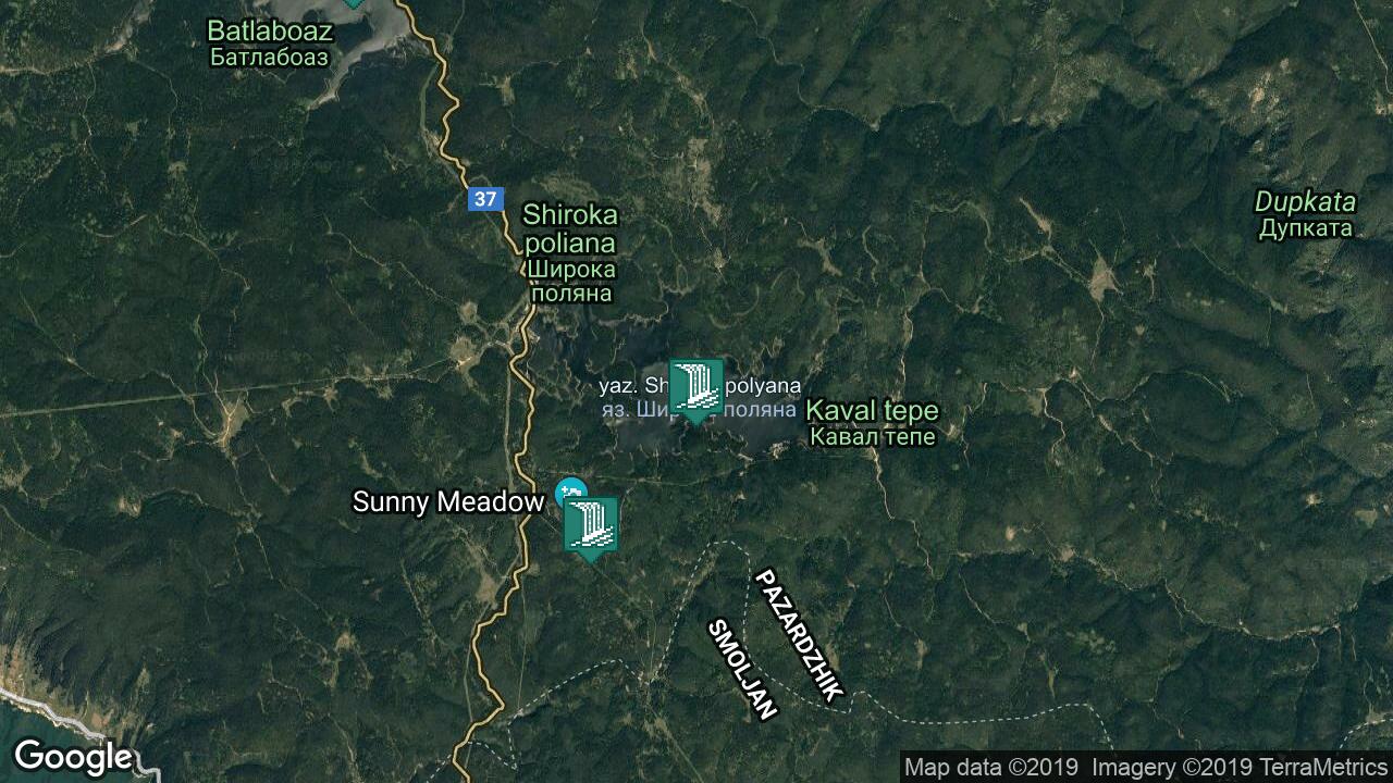 Google Map
