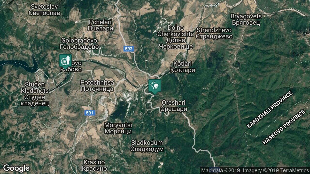 Google Map