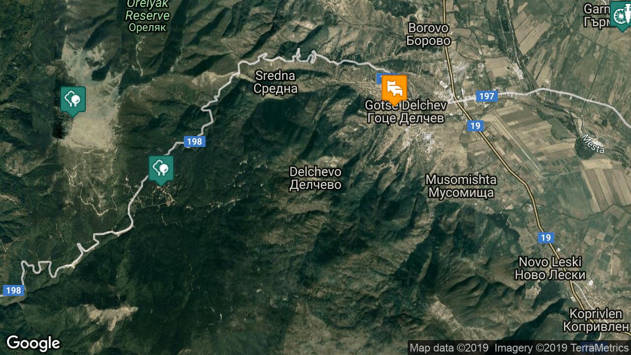 Google Map