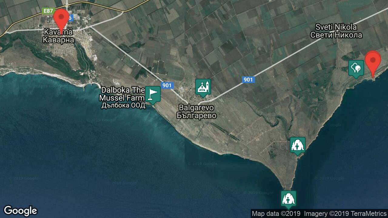 Google Map