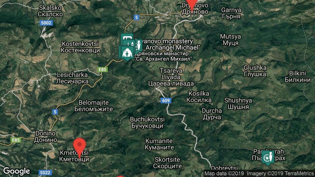 Google Map