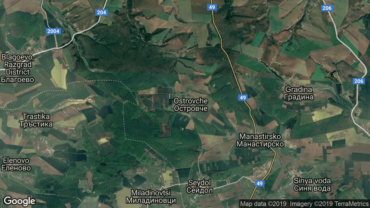 Google Map