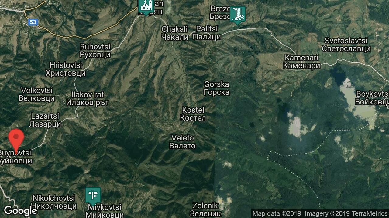 Google Map