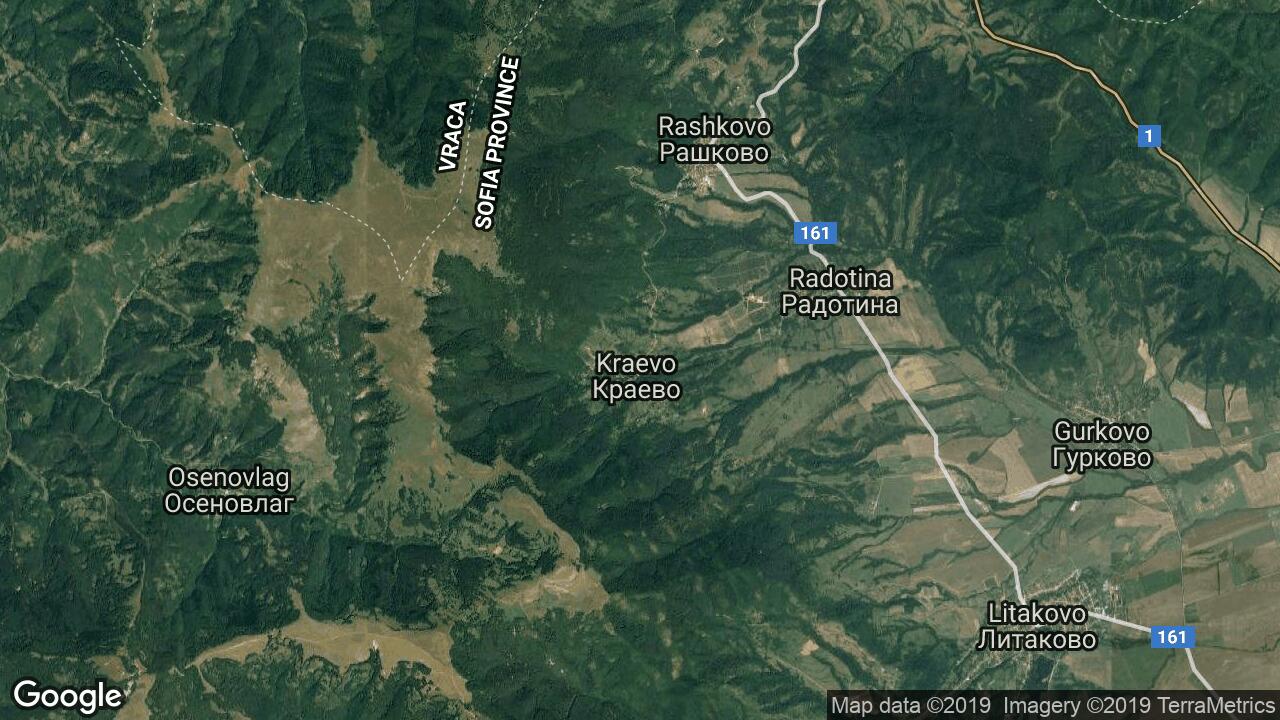 Google Map