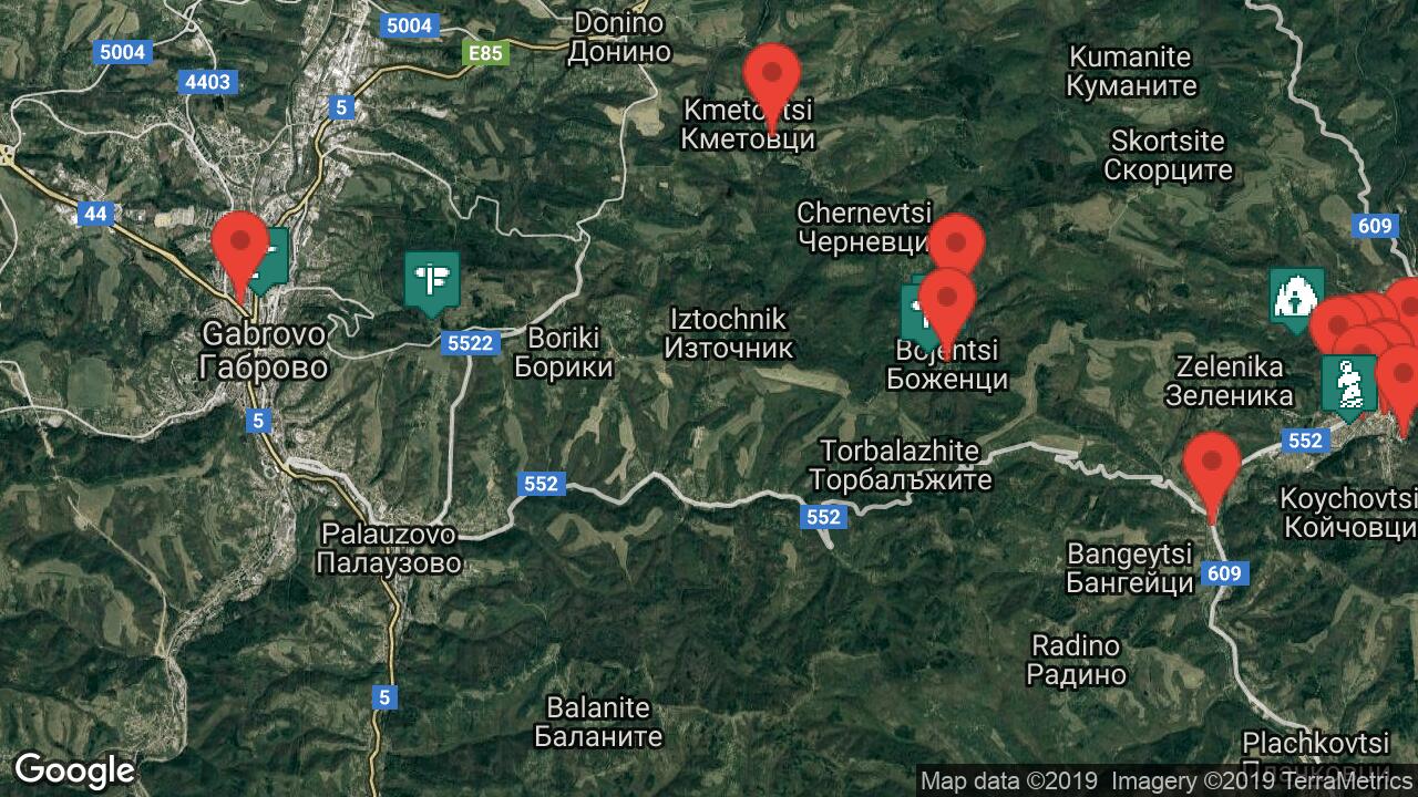 Google Map
