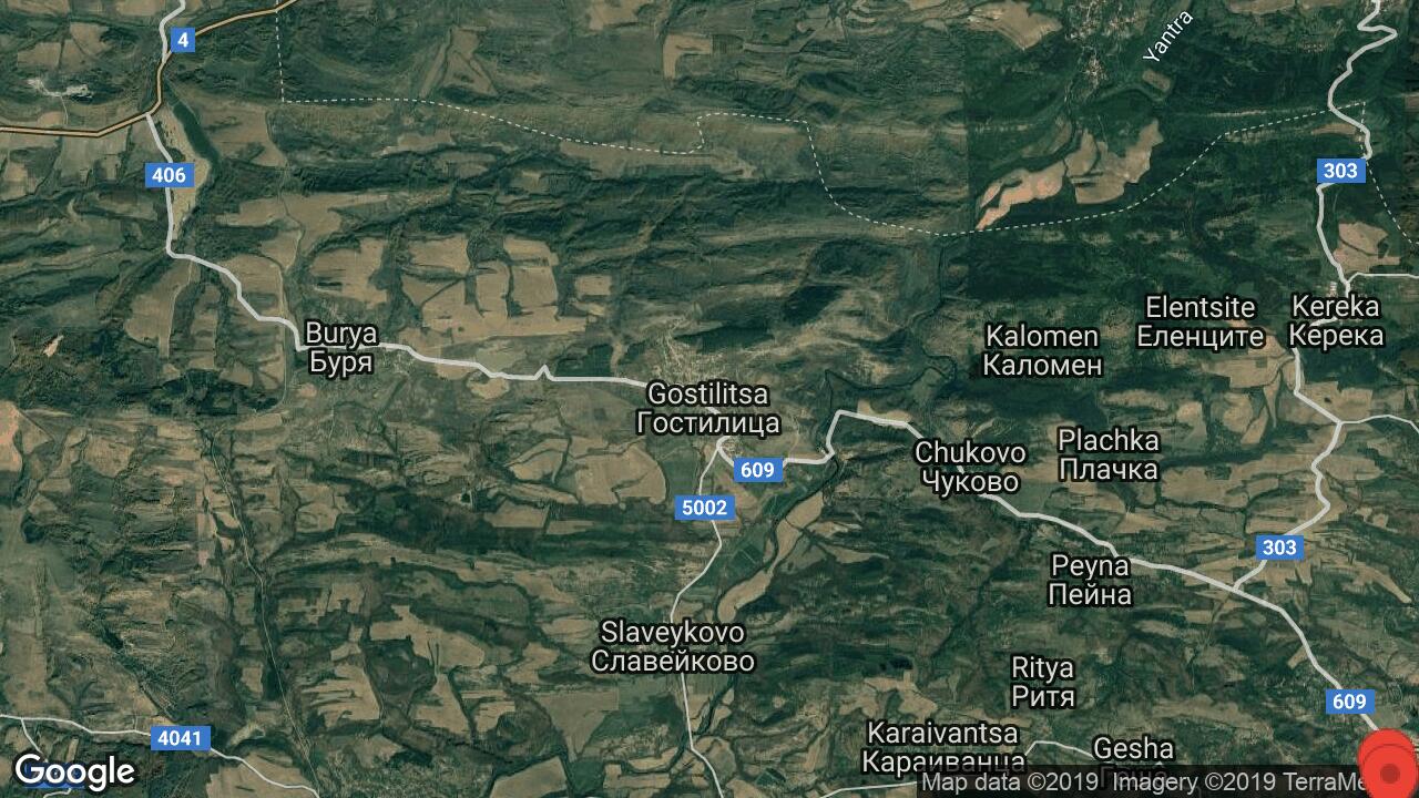 Google Map