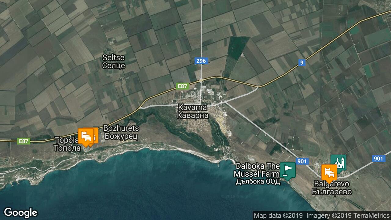 Google Map