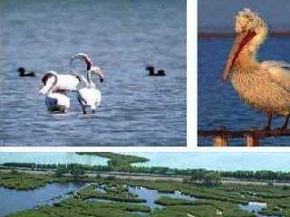 Вила Крайморие - Крайморие