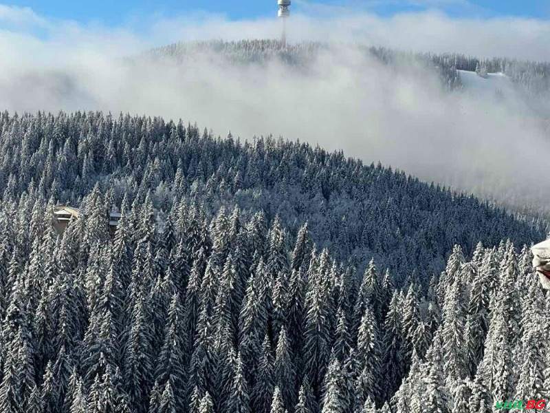 Хотел Дафовска, Пампорово 27