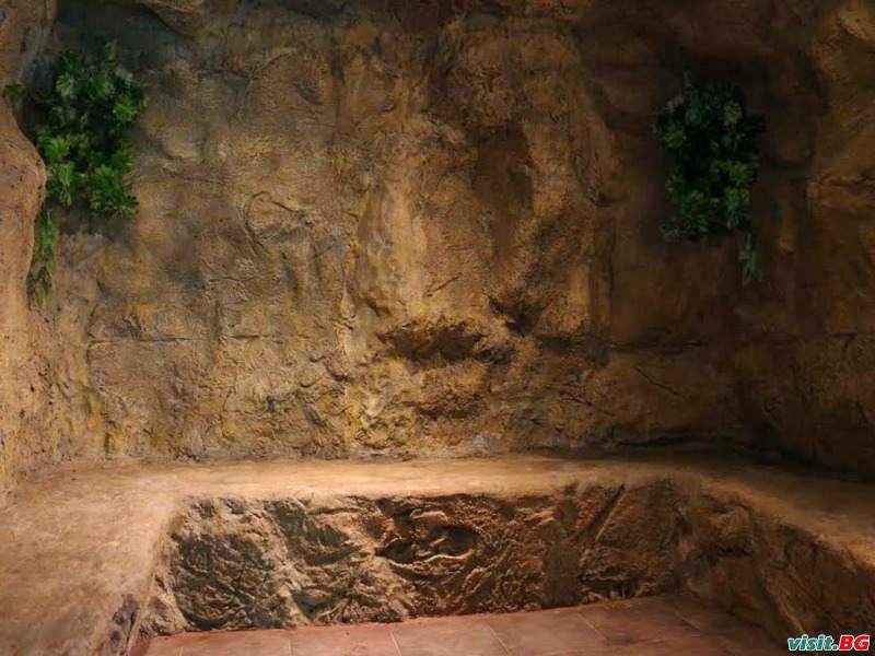 Кипарис, Враца 13