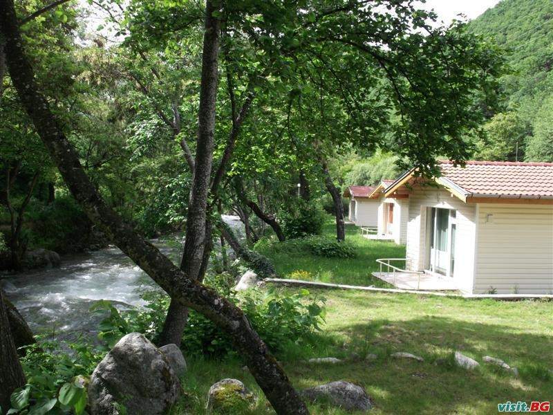 Комплекс Валдис, Кюстендил