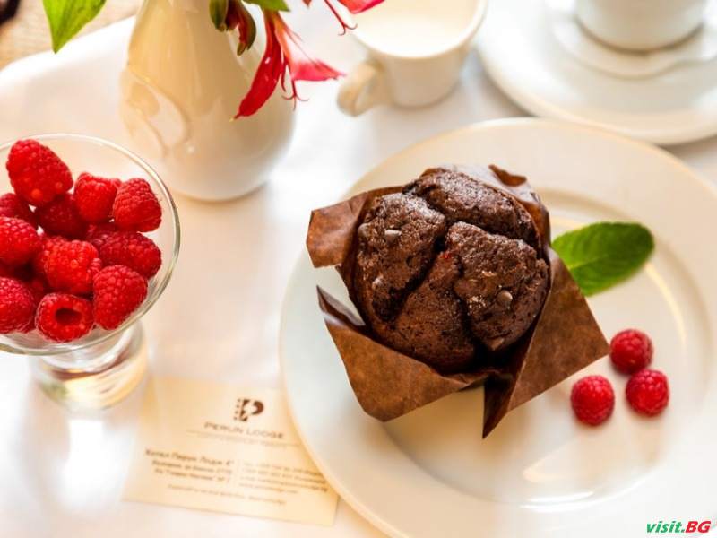 Апартхотел Перун Лодж, Банско 14