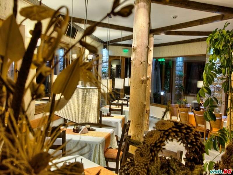 Семеен хотел Етерно, Цигов Чарк 7