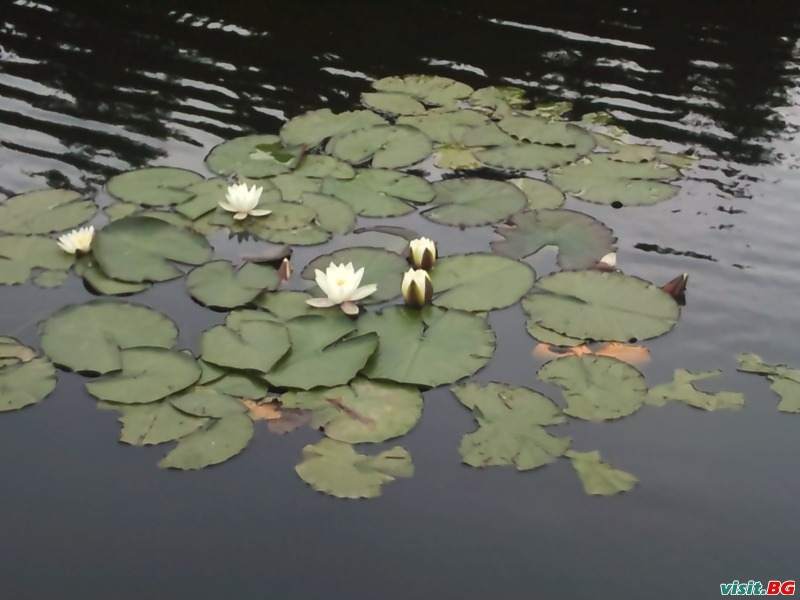 Семеен хотел Етерно, Цигов Чарк 24