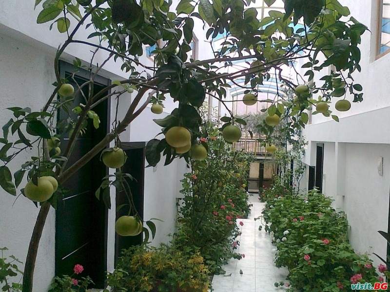 Хотелски комплекс Белведере, с.Аспарухово 4