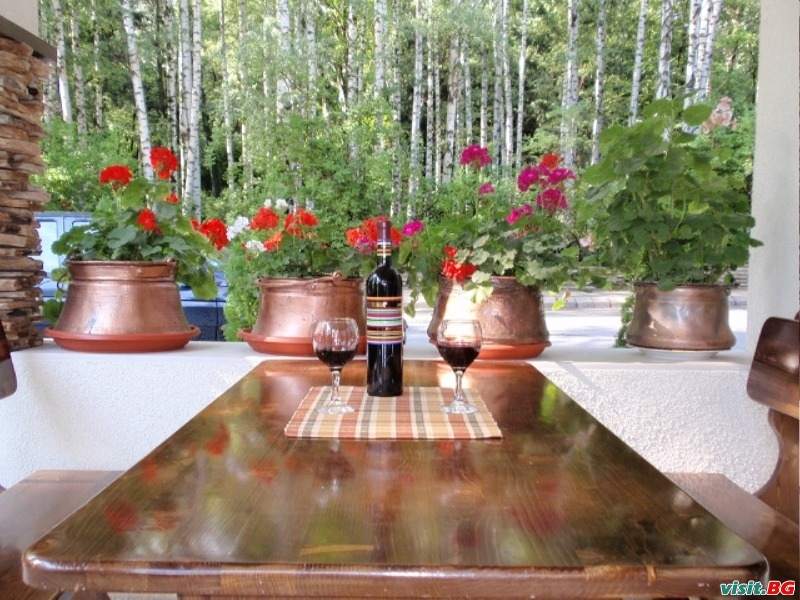 Хотел Емали, Сапарева баня 9