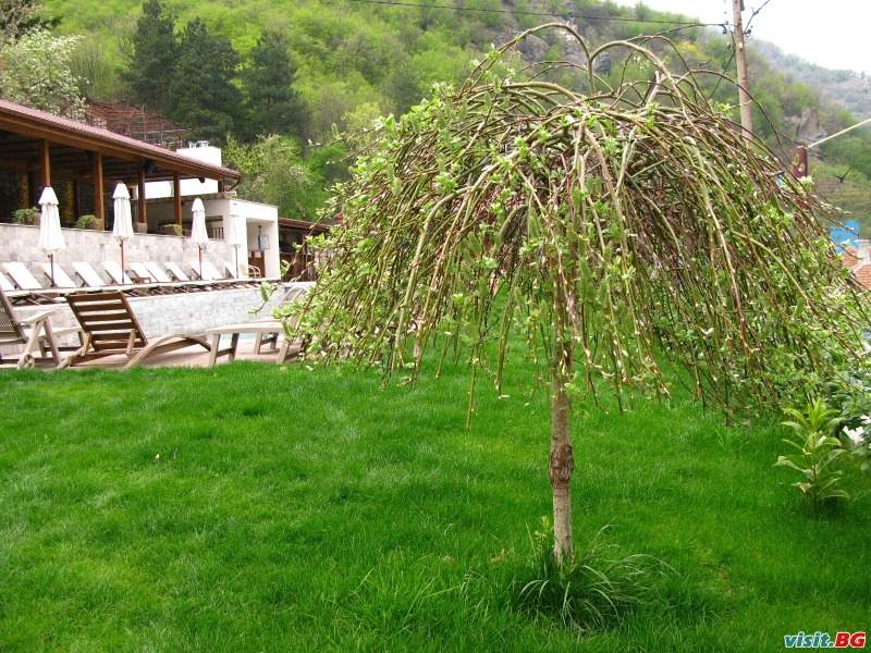 Хотел Аква Варвара, с.Варварски минерални бани 22
