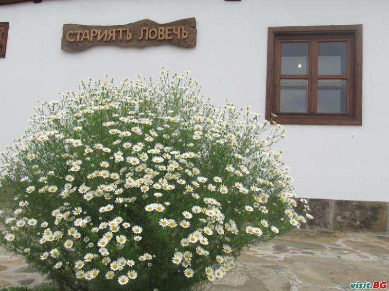 Хотел Старият Ловеч, Ловеч