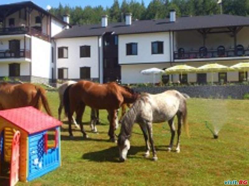 Семеен хотел Русалиите, Разлог