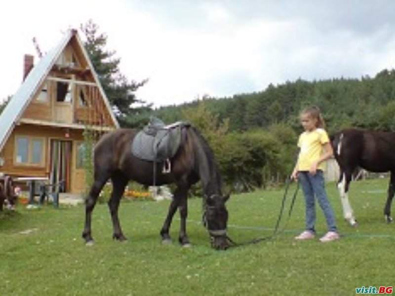 Семеен хотел Русалиите, Разлог
