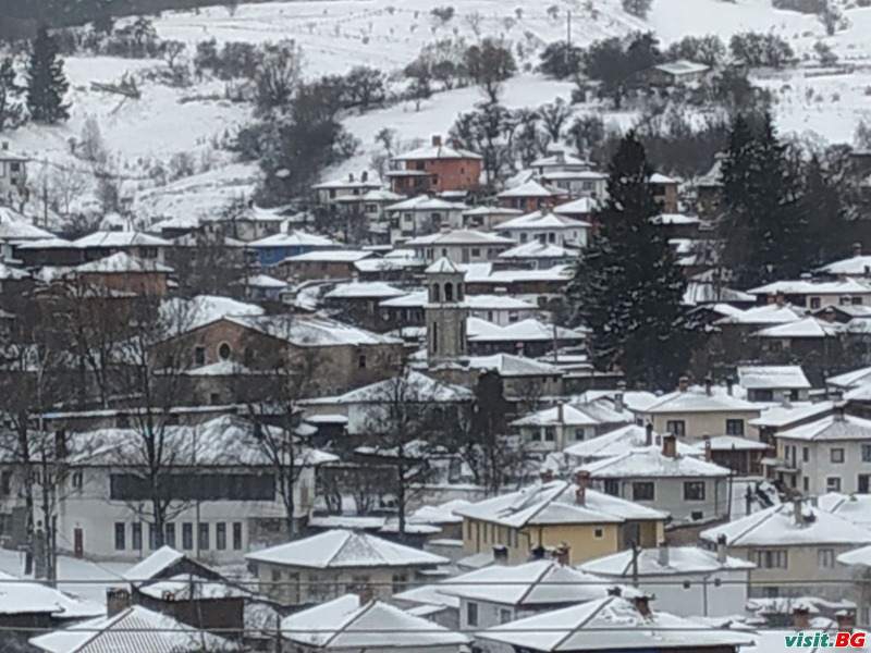 Емили Фемили Хаус, Копривщица