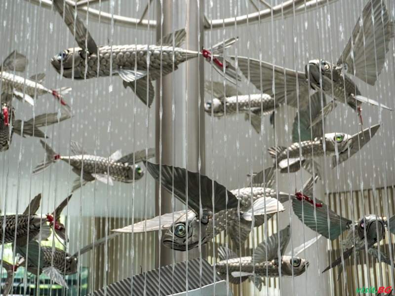 Аквахаус Хотел и СПА, Св. Константин и Елена 16